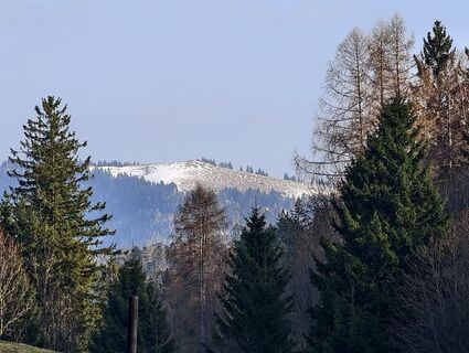 Fotografia z Theny Sigrid na trase