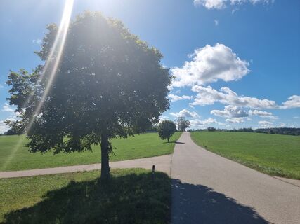 Photo de Felix le long du parcours