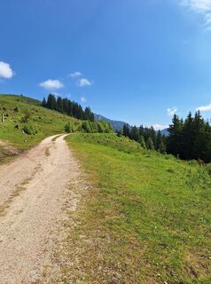 Fotografija s spletne strani Dagmar Hofer na poti