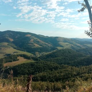 Photo de Lisa Pimminger 1 le long du parcours