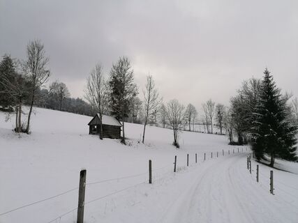 Winterlicher Raumbergweg
