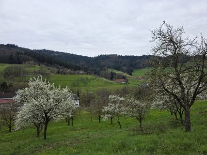 Foto von Noreen (NoKe) entlang der Tour