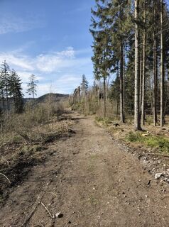 Fotografia z Jana Rudloff na trase