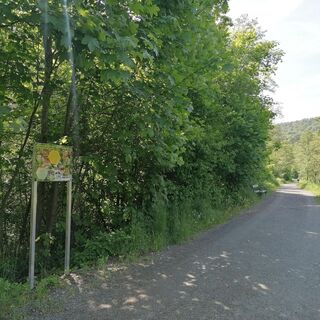 Stationen um den Burgsee