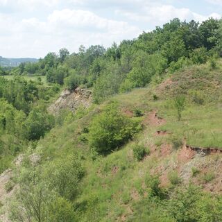 Steinbruch bei Bad Köstritz