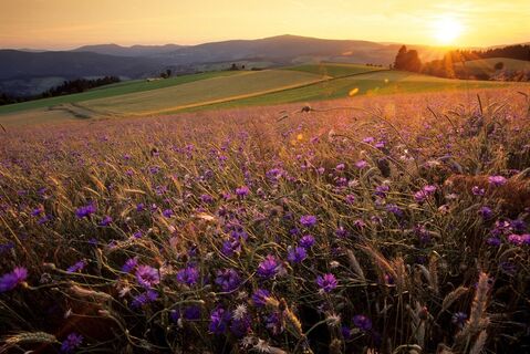 Region Joglland-Waldheimat