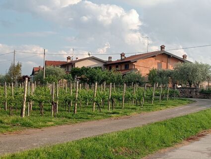 Foto de simone ravasi a lo largo del recorrido