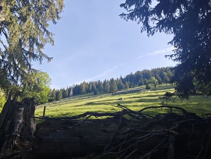 Foto von Michi Steiert entlang der Tour