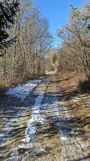 Photo de Mangolein le long du parcours