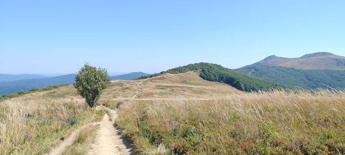 Fotografija s spletne strani Sylwiasuchy76 na poti