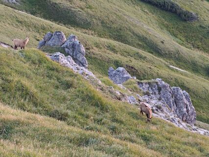 Foto von Christoph Kreuzer entlang der Tour