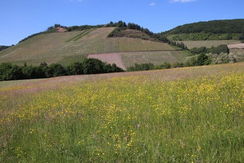 Photo de Günter Kleutsch le long du parcours