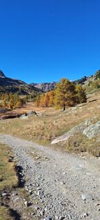 Foto de uto a lo largo del recorrido