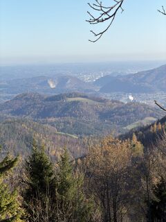 Fotografia z firebird 93 na trase