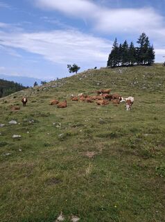Foto von Miha Gros entlang der Tour