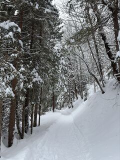 Foto von Dennis Boetzkes entlang der Tour
