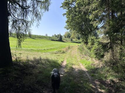 Fotografie z Momo na trase