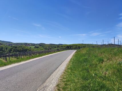 Fotografija s spletne strani Natureforus na poti