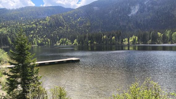 Fotografia z WilliSt na trase