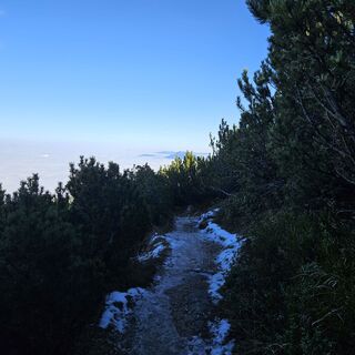 Foto von Alfred Quack entlang der Tour