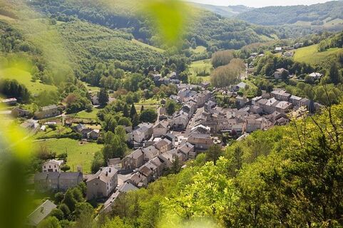 Viane
