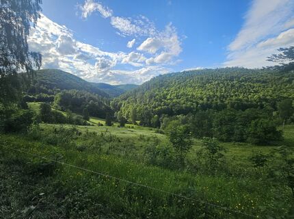 Fotografija s spletne strani Heiko Sauermilch na poti