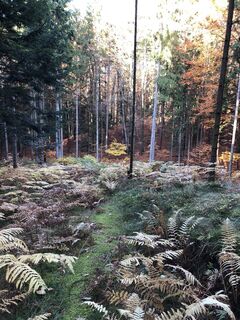 Fotó a Josef Pauli 1 honlapról a túra során