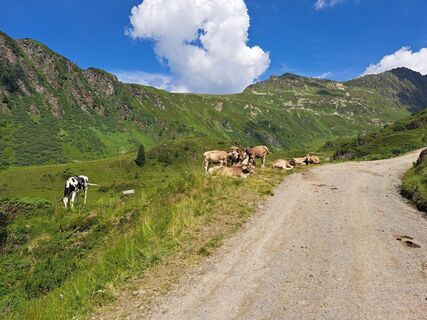 Fotografija s spletne strani Christian Lerchster na poti
