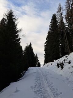 Fotografija s spletne strani Daniela König 1 na poti