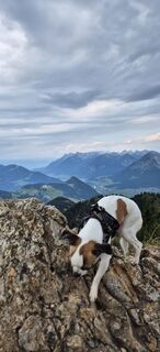 Foto von Mircoeuteneuer51 entlang der Tour