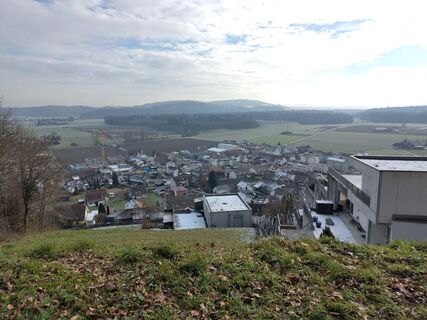 Photo de Herr Dachs le long du parcours