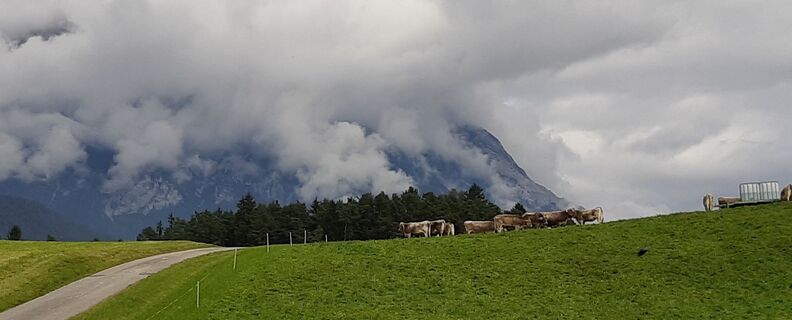 Foto da Reinhard R lungo il tour