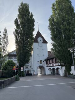 Fotografia z Reto Griner na trase