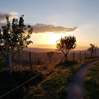 Aussichtspunkt des Ban de Laveline