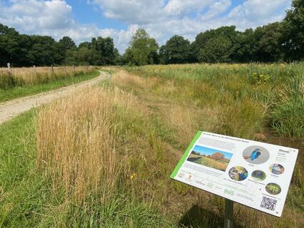 Wanderweg am neuen Bachabschnitt