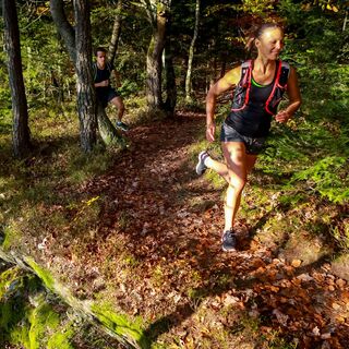 Trailrunning - Steyr und die Nationalpark Region