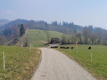 Photo de Rainer Ahrens 1 le long du parcours