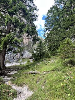 Fotografia z Alexander Pohl na trase