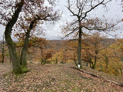 Kuva osoitteesta Arthur Muskalla matkan varrella