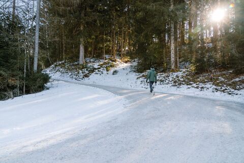 Hinauf über die Moosbergstraße in die Sonne