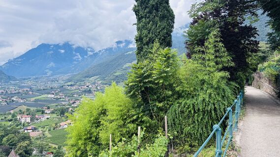 Foto von Eva Theiß entlang der Tour