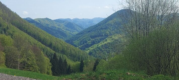 Fotografija s spletne strani Klaus Gruber 3 na poti