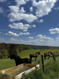 Foto von Sina Reifenberg entlang der Tour