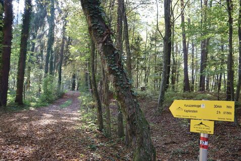 Handspur Wegweiser
