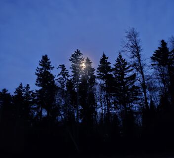 Foto de Zikret Selimović a lo largo del recorrido