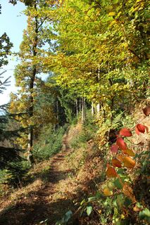Wunderschöne Pfade machen die kurze Wanderung zu einem Erlebnis