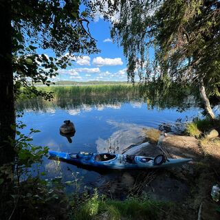 Bucht am Ufer von Varjansaari hinter dem Schilfgürtel, Asikkala