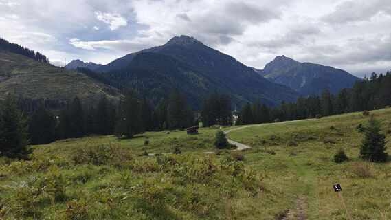 Fotó a Ann VR honlapról a túra során