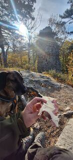 Foto von Markus Ortner entlang der Tour