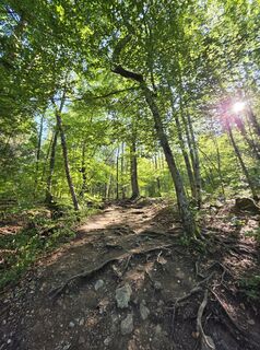 Photo de Bernhard Grumbeck le long du parcours